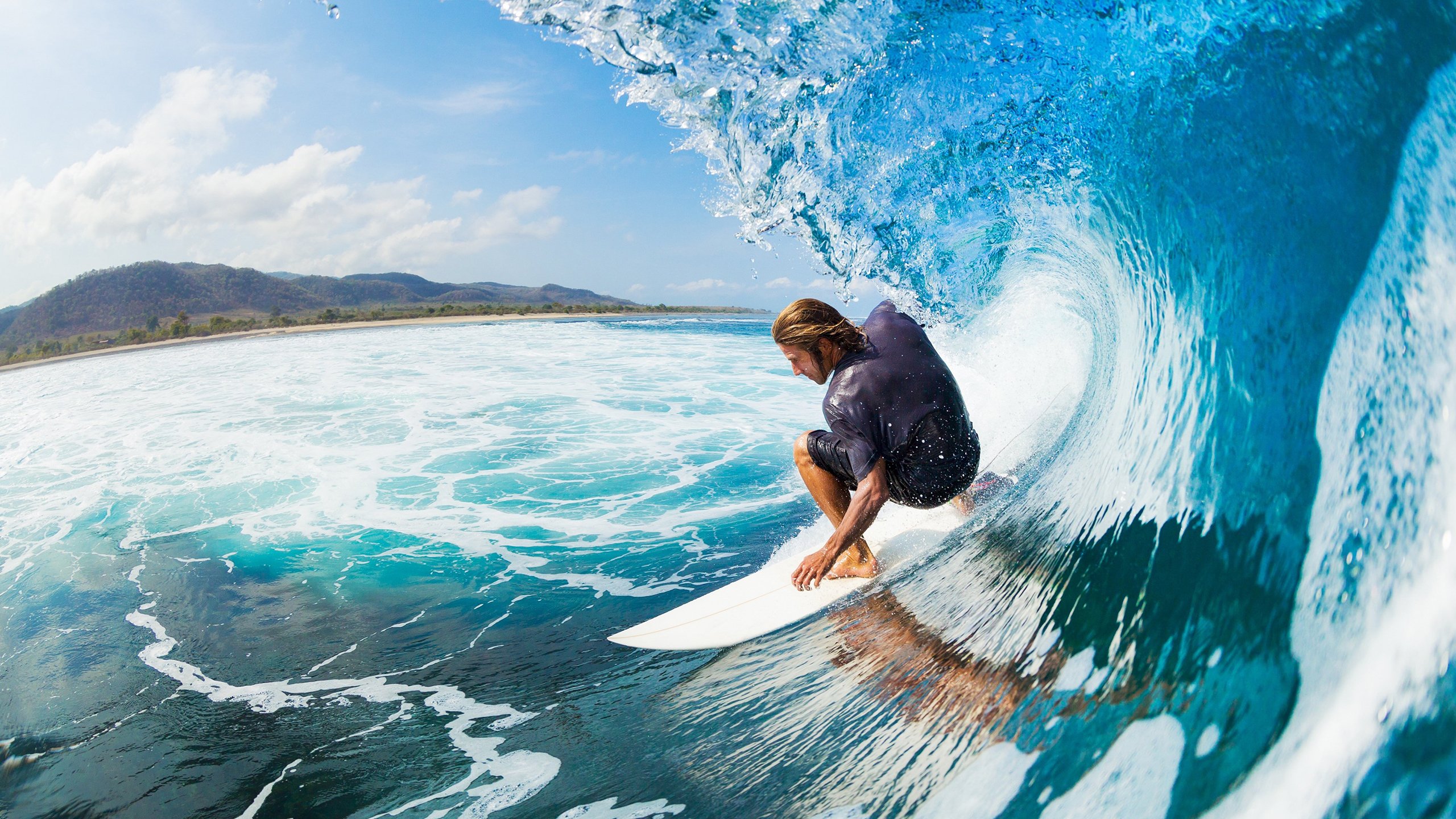 乌鸦防线表现完美，对手几乎无解，乌鸦攻击什么