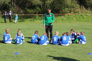 乐鱼电竞· (中国)官方网站-乌鸦防线表现完美，对手几乎无解，乌鸦攻击什么